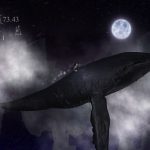 The Prisoner of the Night