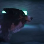 Barkour