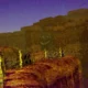 The Nameless City