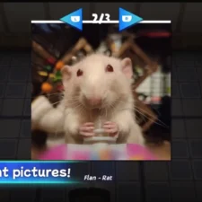 Squeakross: Home Squeak Home