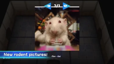 Squeakross: Home Squeak Home