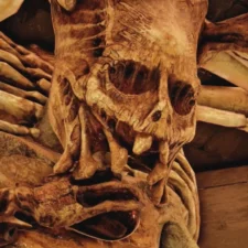 Necrophosis